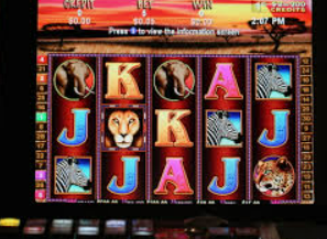 壹号平台app免费版